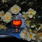 Seelust 3* Hennstedt (Steinburg)