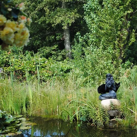 Seelust Pensión Hennstedt (Steinburg)