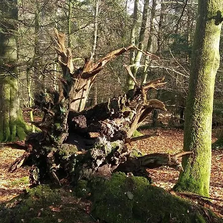 Gæstehus Seelust 3*