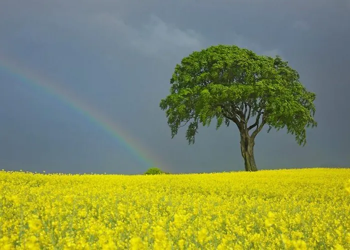 Seelust Hennstedt (Steinburg)