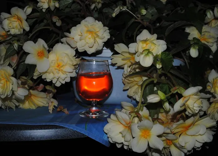 Seelust 3* Hennstedt (Steinburg)