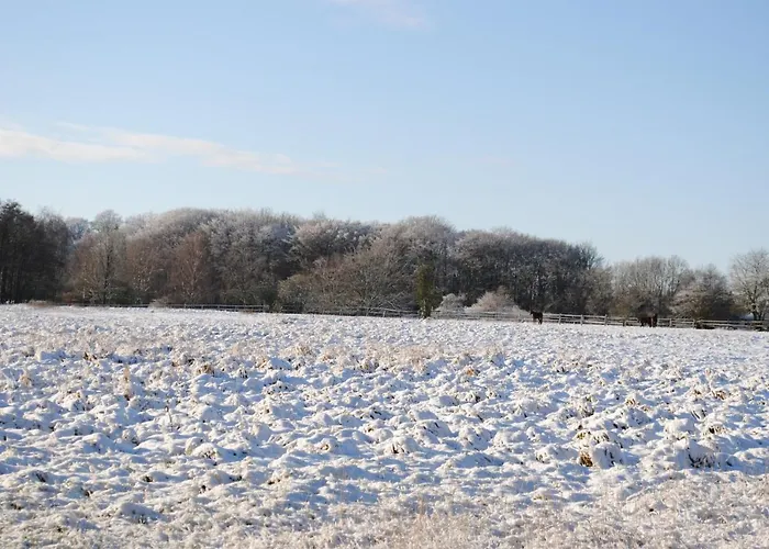 Seelust Guest house 3*